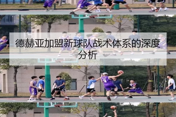 德赫亚加盟新球队战术体系的深度分析