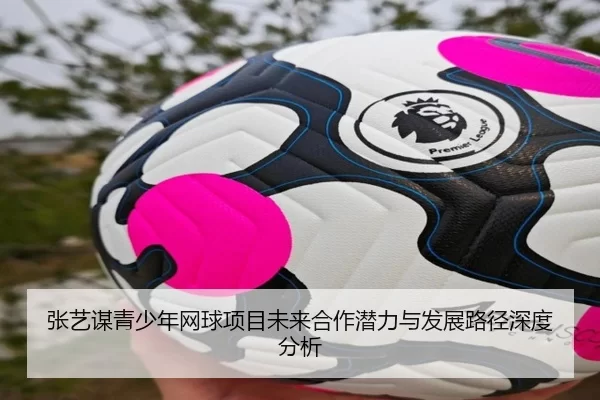 张艺谋青少年网球项目未来合作潜力与发展路径深度分析
